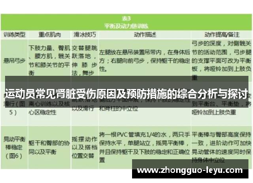 运动员常见肾脏受伤原因及预防措施的综合分析与探讨