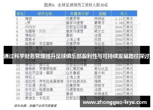 通过科学财务管理提升足球俱乐部盈利性与可持续发展路径探讨