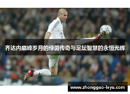 齐达内巅峰岁月的绿茵传奇与足坛智慧的永恒光辉