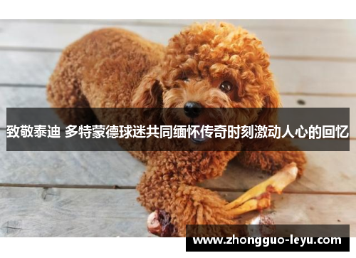 致敬泰迪 多特蒙德球迷共同缅怀传奇时刻激动人心的回忆 致敬泰迪 多特蒙德球迷共同缅怀传奇时刻激动人心的回忆