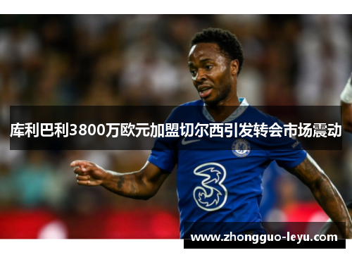 库利巴利3800万欧元加盟切尔西引发转会市场震动 库利巴利3800万欧元加盟切尔西引发转会市场震动